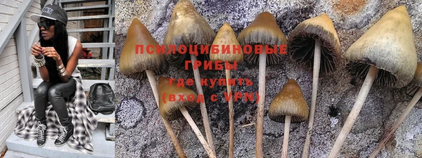 эйфоретик Алексин