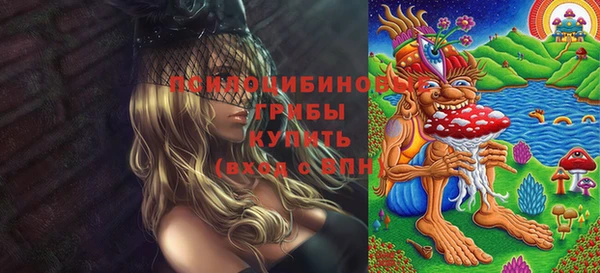 эйфоретик Алексин