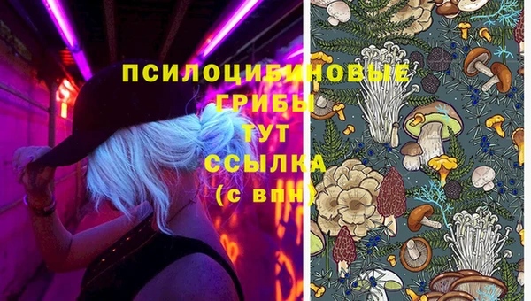 эйфоретик Алексин