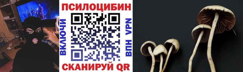 Псилоцибиновые грибы Psilocybine cubensis  купить   Моздок 